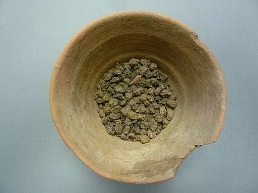 Miska rodzynek z okresu starożytnego Egiptu