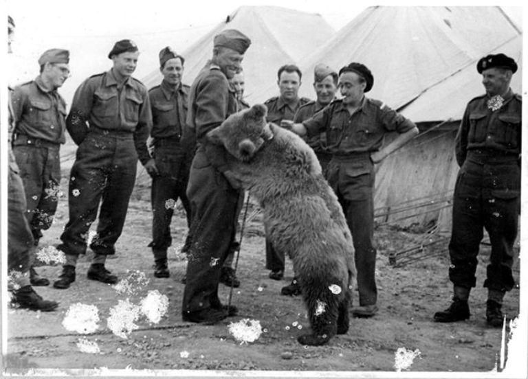 Ciekawostki historyczne o II wojnie światowej Ciekawostki historyczne o II wojnie światowej oraz mniej znane fakty z okresu 1939 - 1945