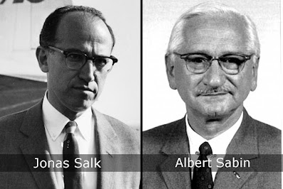 Pierwsze szczepionki na polio to dzieło Jonasza Salka oraz Alberta Sabina.