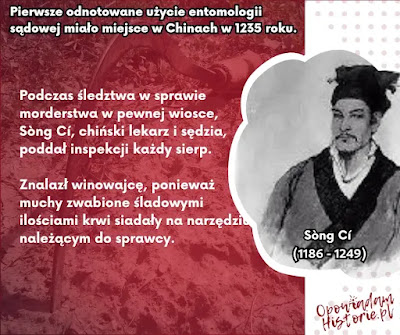 Pierwsze zastosowanie entomologii sądowej Pierwsze zastosowanie entomologii sądowej jako ciekawostka historyczna
