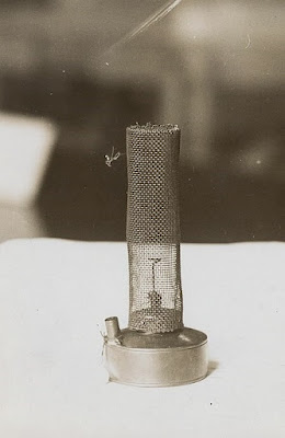 Lampa Davy'ego