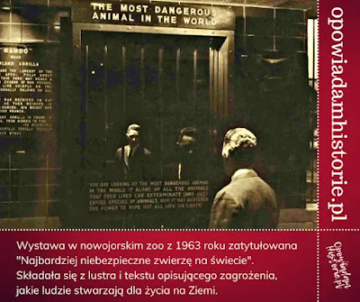 Wystawa w zoo w Nowym Jorku Najbardziej niebezpieczne zwierzę na świecie